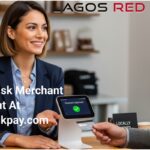 high risk merchant account at highriskpay.com